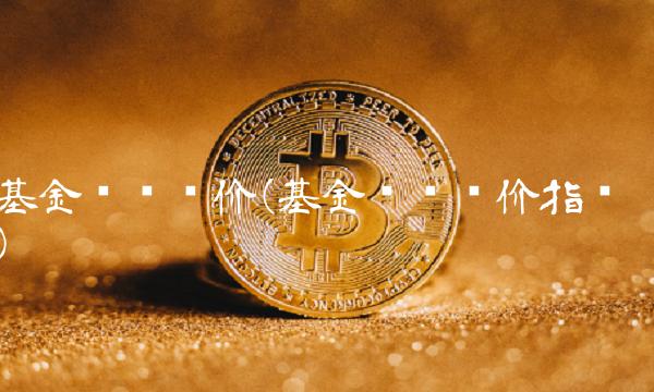 基金业绩评价(基金业绩评价指标)