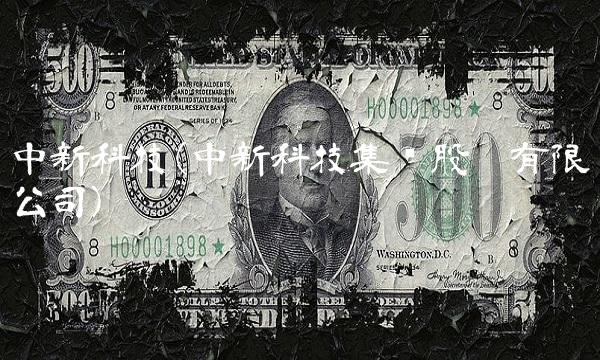 中新科技(中新科技集团股份有限公司)