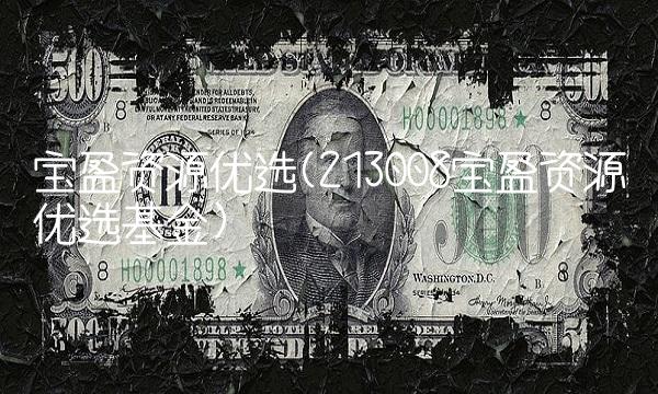 宝盈资源优选(213008宝盈资源优选基金)