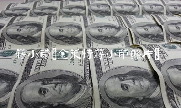 蒋小荣(金莱特蒋小荣照片)(1)