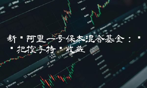 新华阿里一号保本混合基金：风险把控与持续收益
