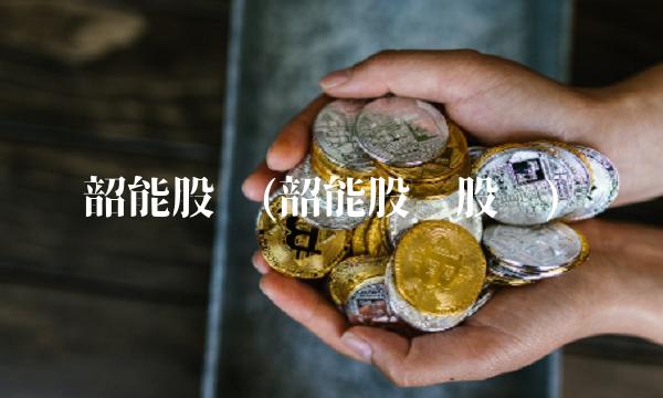 韶能股份(韶能股份股吧)