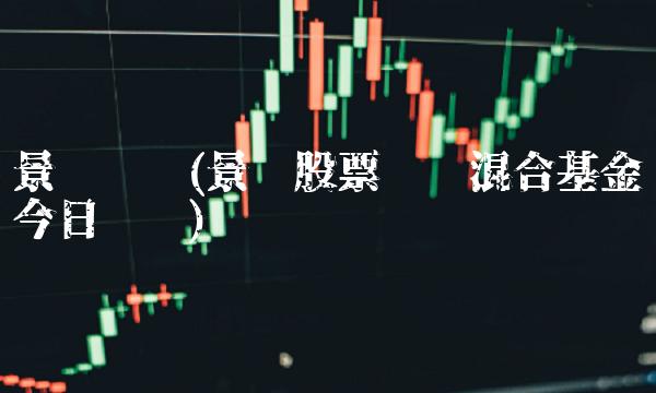 景顺优选(景顺股票优选混合基金今日净值)