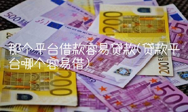 那个平台借款容易贷款(贷款平台哪个容易借)