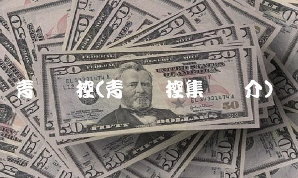 青岛软控(青岛软控集团简介)