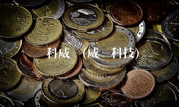 灵科威尔(威尔科技)