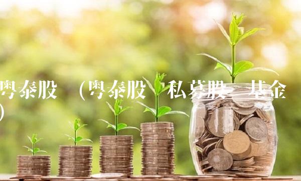 粤泰股份(粤泰股份私募股权基金)