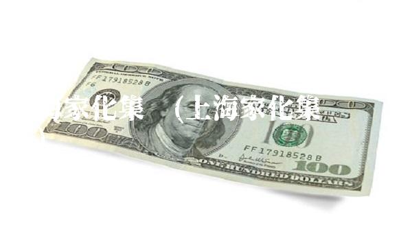 上海家化集团(上海家化集团财务报表)