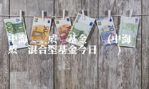 中海优质成长基金净值(中海优质成长混合型基金今日净值)