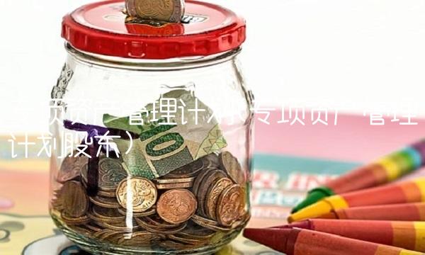 专项资产管理计划(专项资产管理计划股东)