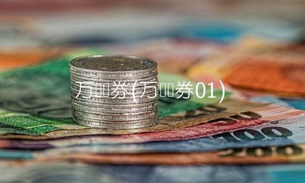 万达债券(万达债券01)(1)