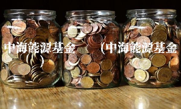 中海能源基金净值(中海能源基金净值查询)