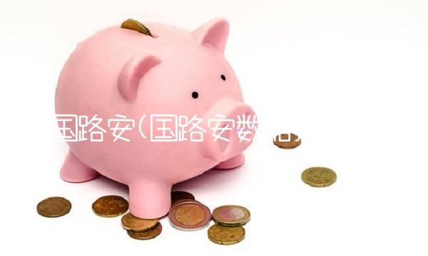 国路安(国路安数据技术)