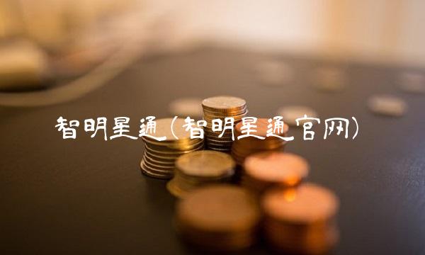 智明星通(智明星通官网)