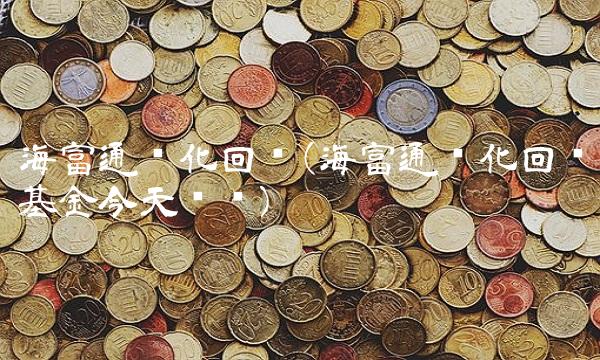 海富通强化回报(海富通强化回报基金今天净值)