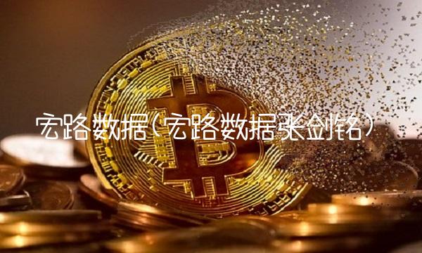宏路数据(宏路数据张剑铭)