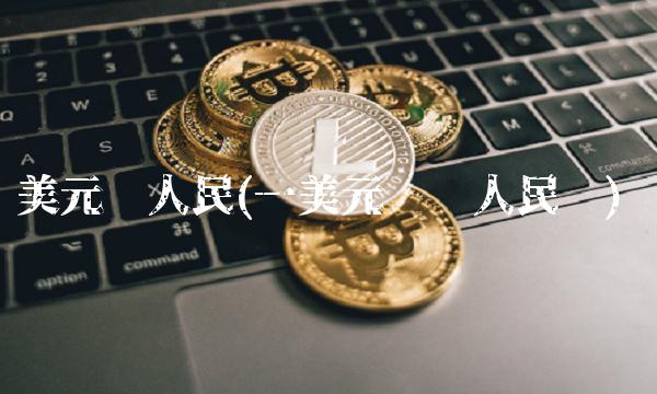 美元对人民(一美元兑换人民币)