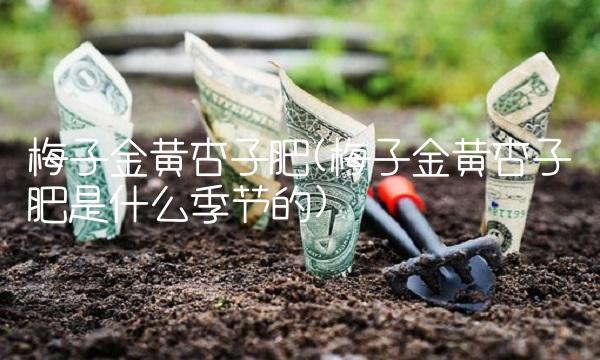梅子金黄杏子肥(梅子金黄杏子肥是什么季节的)