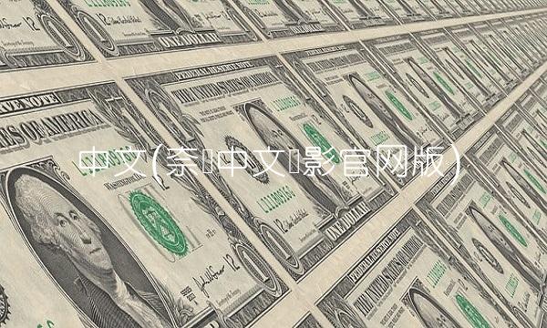 中文(奈飞中文电影官网版)