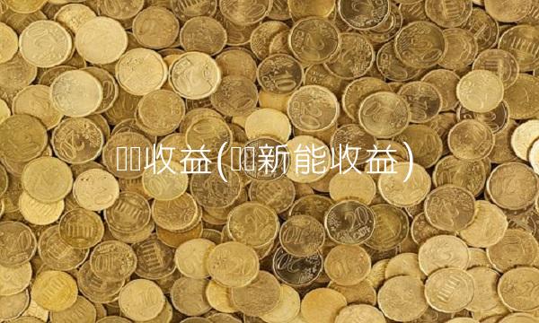 华宝收益(华宝新能收益)