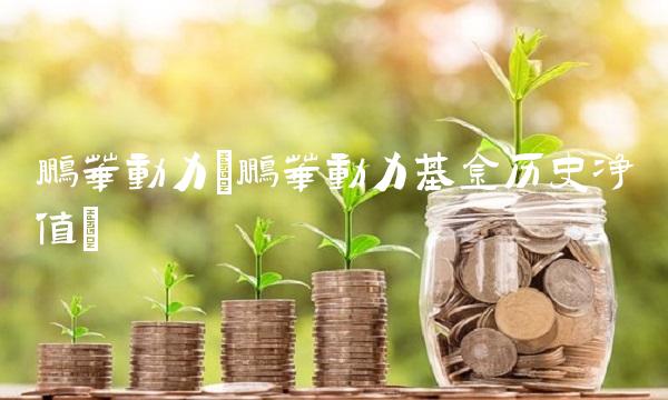 鹏华动力(鹏华动力基金历史净值)