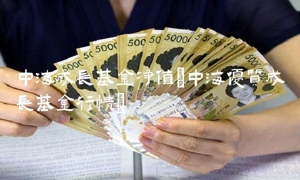 中海成长基金净值(中海优质成长基金行情)