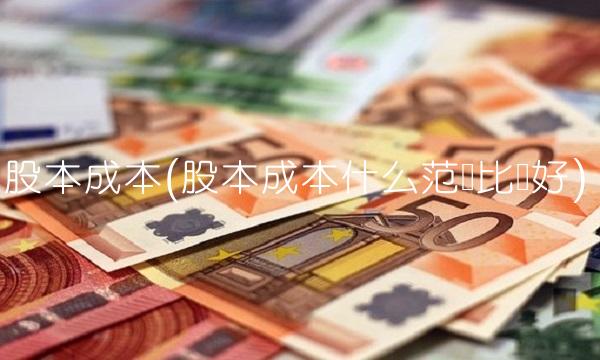 股本成本(股本成本什么范围比较好)