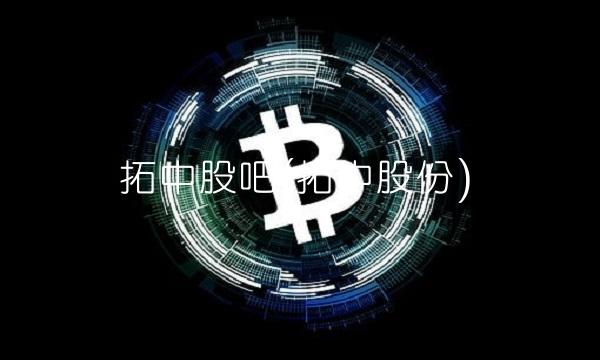 拓中股吧(拓中股份)