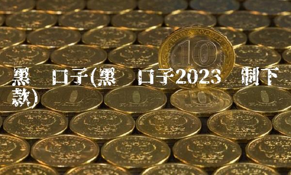 黑户口子(黑户口子2023强制下款)