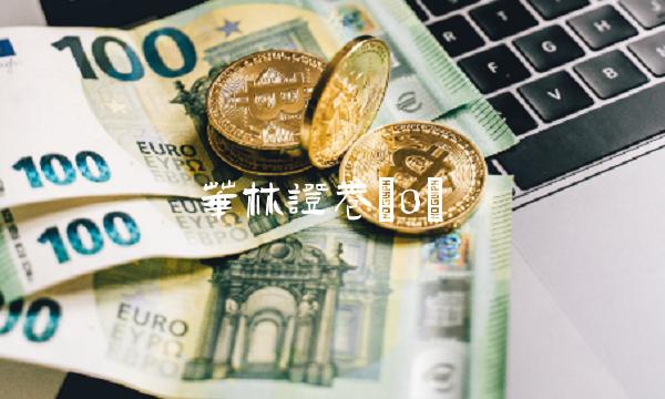 华林证卷(0)(1)