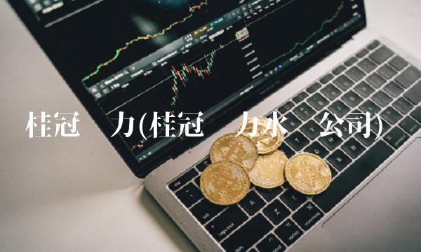 桂冠电力(桂冠电力水电公司)(1)