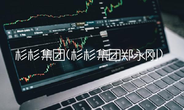 杉杉集团(杉杉集团郑永刚)