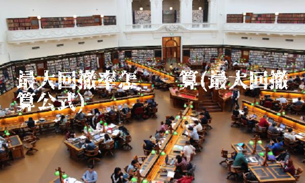 最大回撤率怎么计算(最大回撤计算公式)