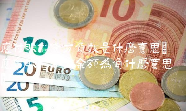 应付账款贷方负数是什么意思(应付账款贷方余额为负什么意思)