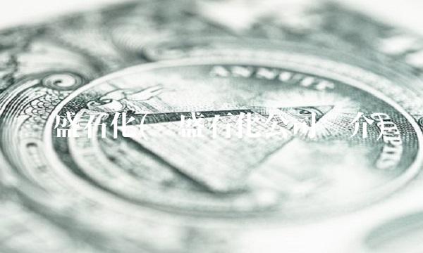 荣盛石化(荣盛石化公司简介)