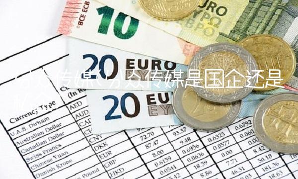 分众传媒(分众传媒是国企还是私企)