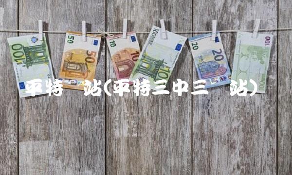 平特网站(平特三中三网站)(1)