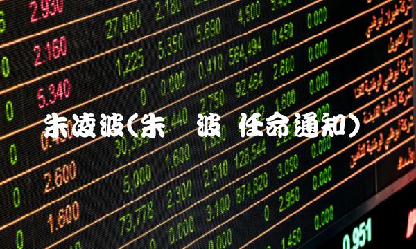 朱凌波(朱灵波 任命通知)