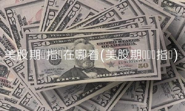 美股期货指数在哪看(美股期货实时指数)