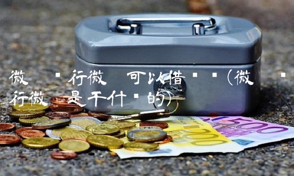 微众银行微卡可以借钱吗(微众银行微卡是干什么的)