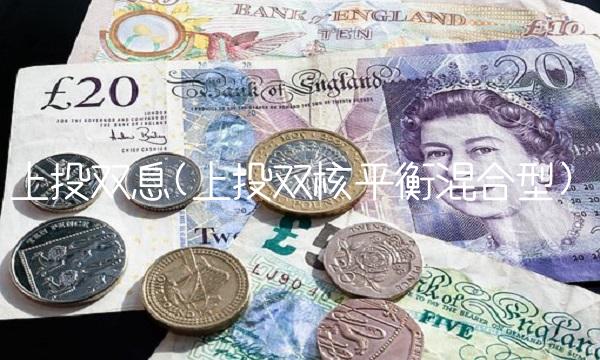 上投双息(上投双核平衡混合型)