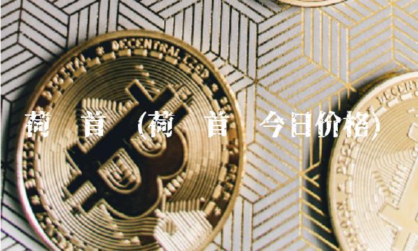 荷银首选(荷银首选今日价格)
