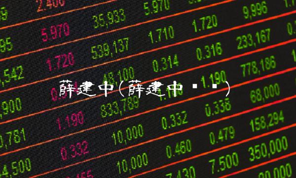 薛建中(薛建中简历)