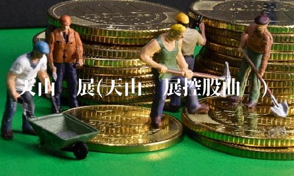 天山发展(天山发展控股曲线)