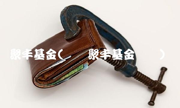 聚丰基金(广发聚丰基金现价)