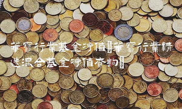 华宝行业基金净值(华宝行业精选混合基金净值查询)