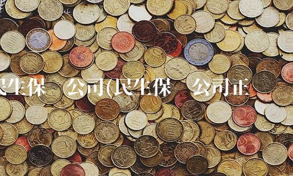 民生保险公司(民生保险公司正规吗)