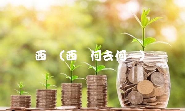 西钢(西钢何去何从)