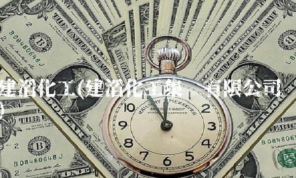 建滔化工(建滔化工集团有限公司)