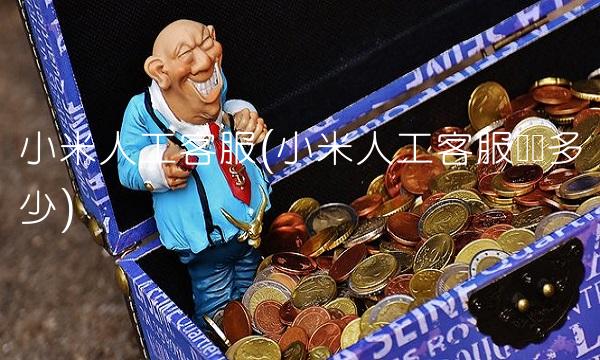小米人工客服(小米人工客服电话多少)